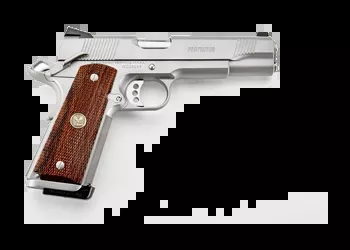 Wilson Combat - Protector